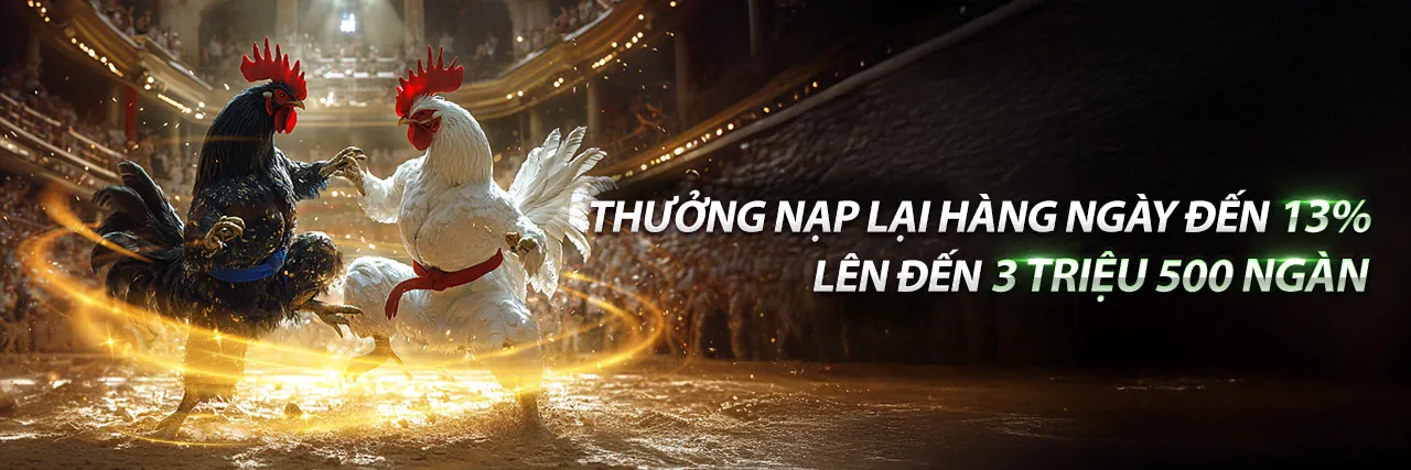 Tin tức và khuyến mãi mới nhất từ AE88 năm 2026